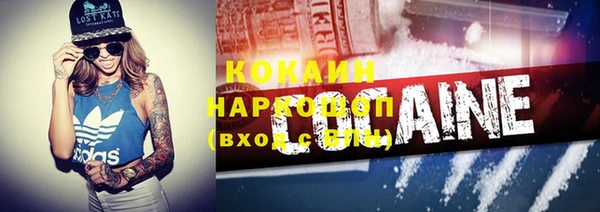 шишки Остров