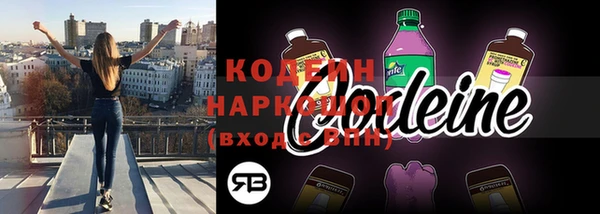 дмт Осташков
