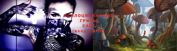 мдпв Няндома