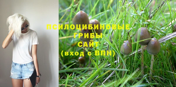 винт Осинники