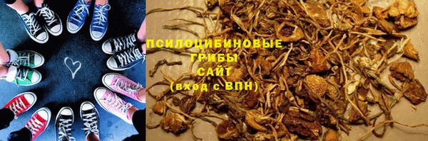 мдпв Няндома