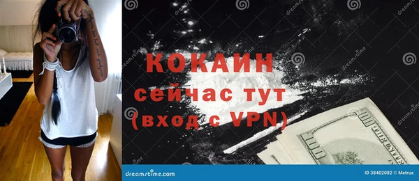 мдпв Няндома